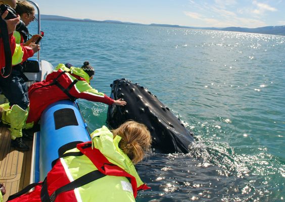 places to visit in iceland in march